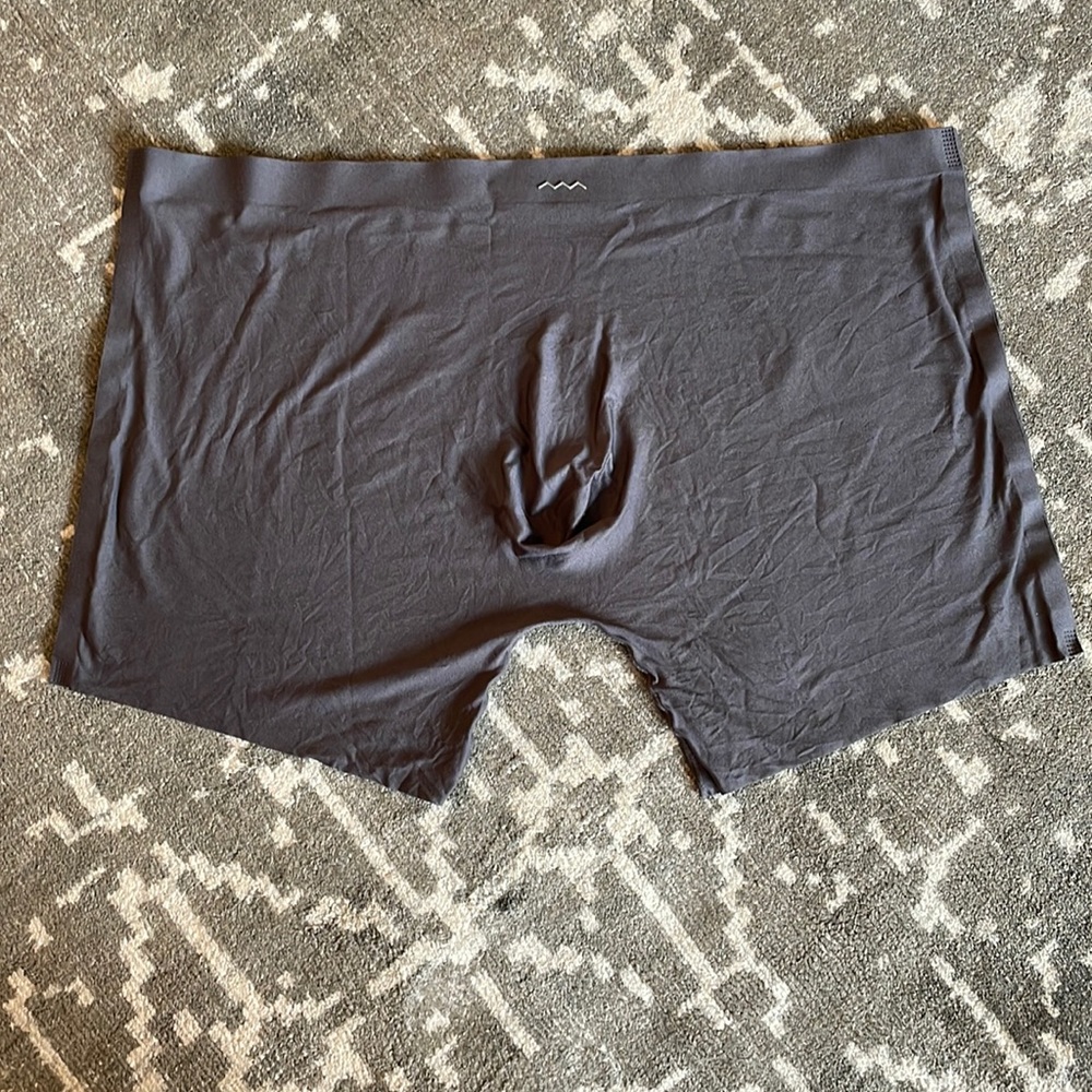 ASWEMOVE Recover Boxer Brief.  Size L.  Gray